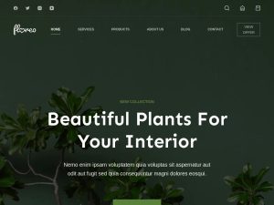 Website Subscription